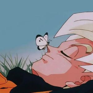 Meet your Posher, Jake